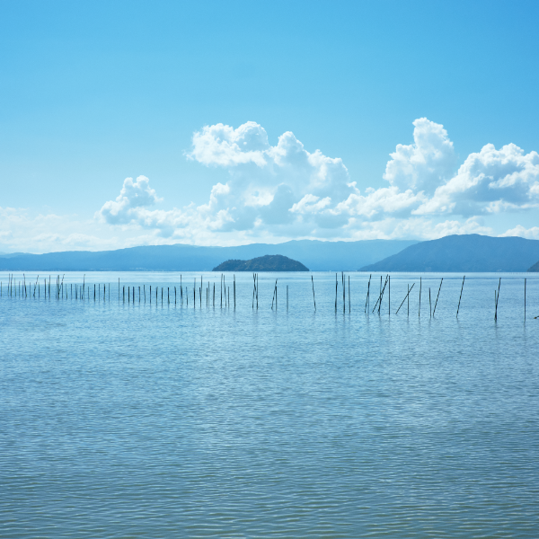 穏やかな昼の琵琶湖の風景