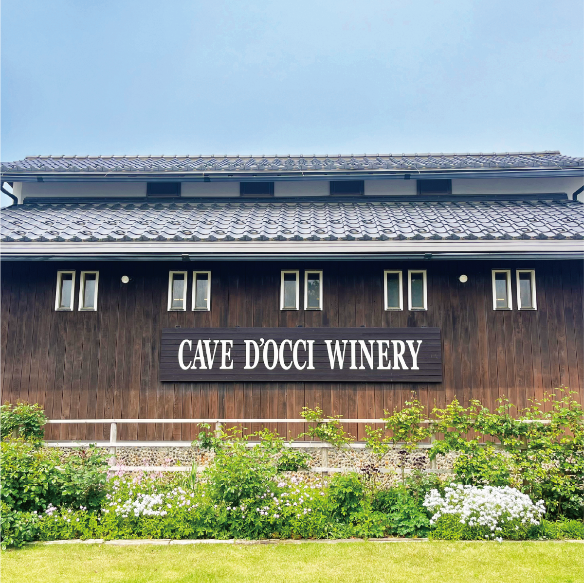 WINE BARREL AGED COFFEE “DRIP BAG”