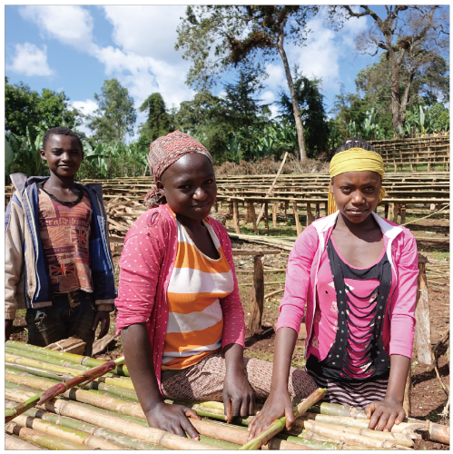 Ethiopia Guji BantiNenqa Washed ドリップバッグ(1杯15g)